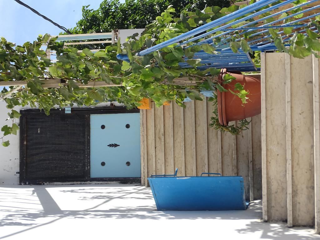 Juha's Guesthouse - Zarqa Bay Jisr ez Zarqa Extérieur photo